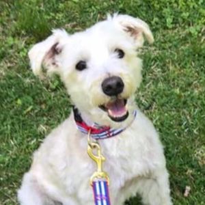 Meet your Posher, Lynn